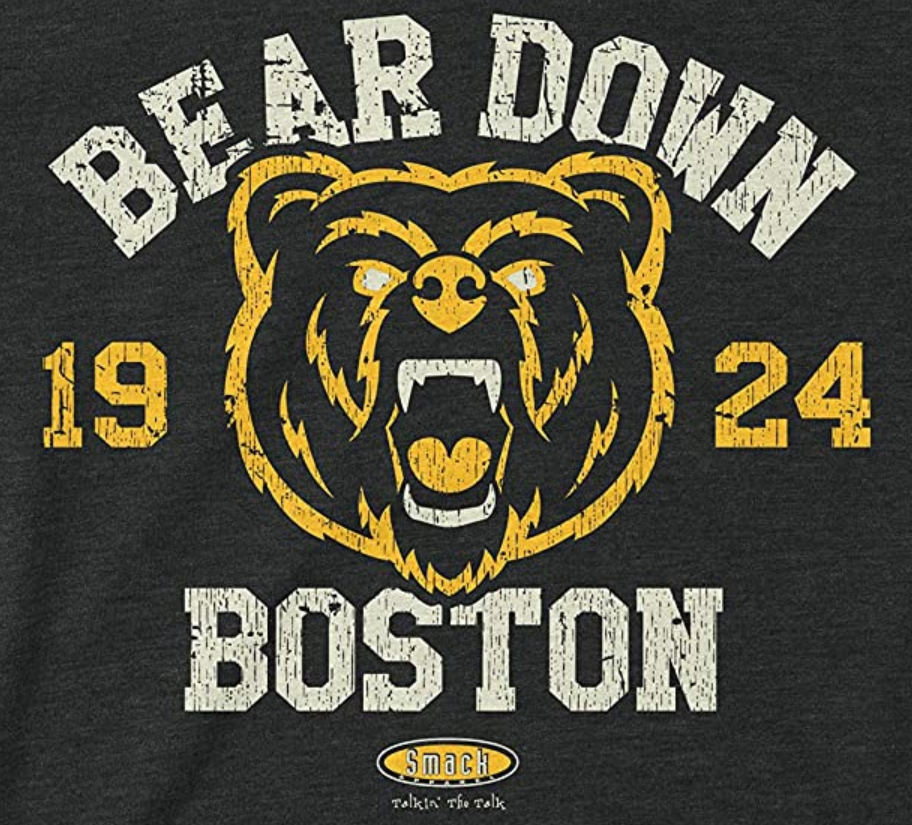 Fear The Bear  Boston bruins logo, Boston bruins, Bruins hockey
